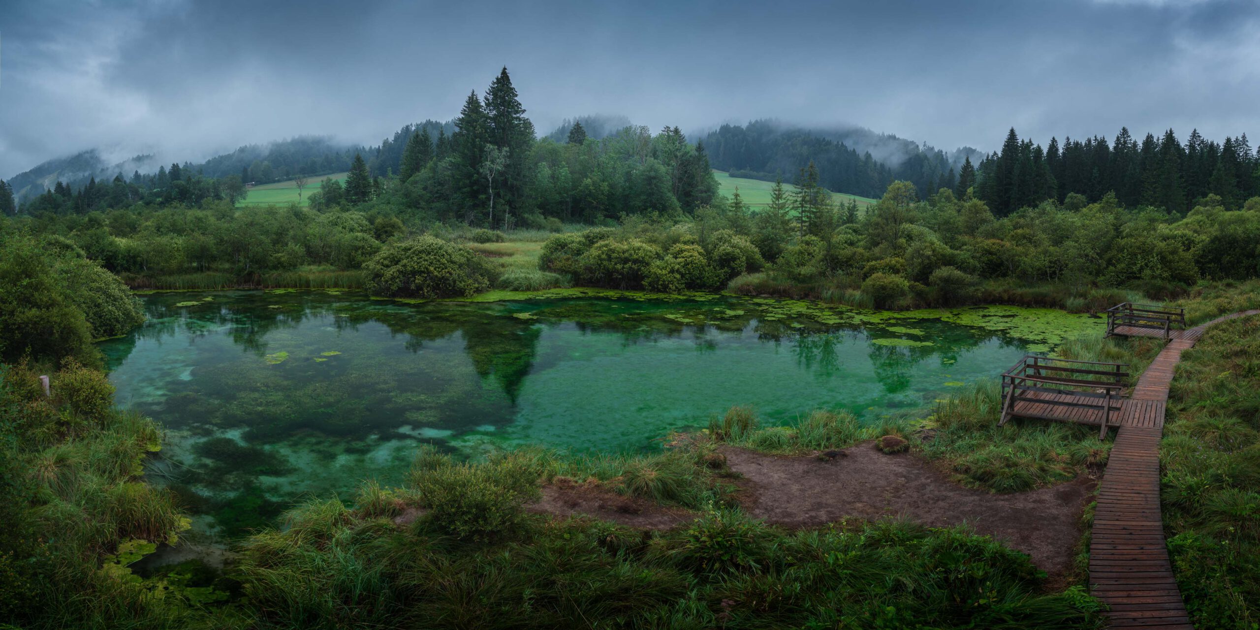 Zelenci Naturreservat smaragdgruenes Wasser See Triglav Nationalpark Slowenien