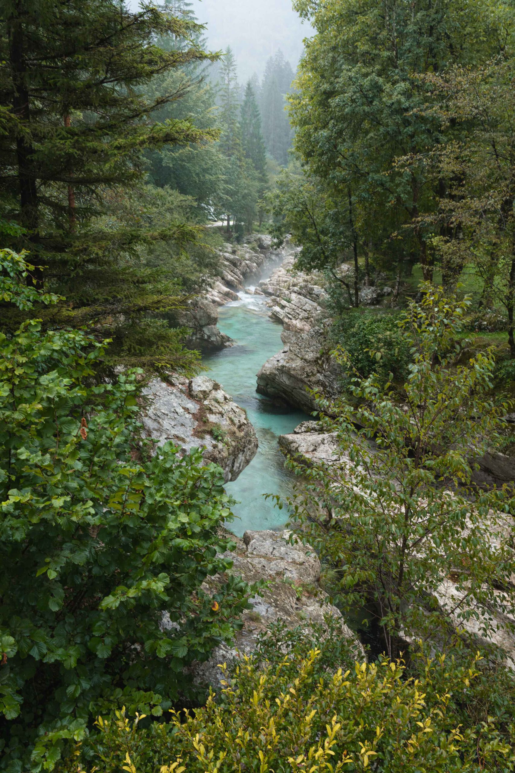 Soca Fluss smaragdgruenes Wasser Triglav Nationalpark Slowenien